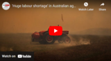 ‘Huge labour shortage’ in Australian agriculture
