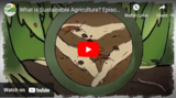 What is Sustainable Agriculture? Episode 5: Ecological Pest Management