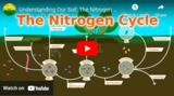 Understanding Our Soil: The Nitrogen Cycle, Fixers, and Fertilizer