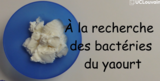 OER-UCLouvain: Vidéo et fiche pédagogique : expérience de cytologie - A la recherche des bactéries du yaourt