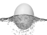 Comment faire flotter un œuf? (Parlons sciences)