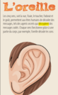 As-tu une bonne oreille? – Activités d'apprentissage (4e-5e)