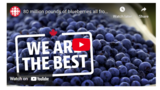 80 million pounds of blueberries all from one farm | We Are The Best