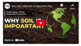 Save Soil | Why Soil Is Important | The Planet Voice