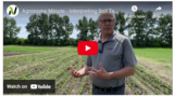 Agronomy Minute - Interpreting Soil Test Reports