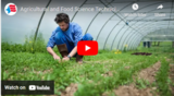 Agricultural and Food Science Technician Career Video