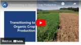 Transitioning to Organic Crop Production