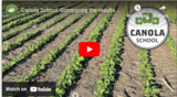 Canola School: Comparing the Results of Different Planter Setups and Settings