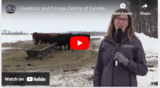 Livestock and Forage Centre of Excellence virtual tour