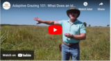 Adaptive Grazing 101: What Does an Ideal Pasture Look Like?