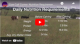 Cow-Calf Corner: Nutrition Requirements