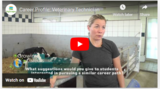 Career Profile: Veterinary Technician