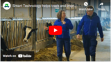 Smart Technology helps track and improve Cow Health