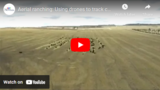 Aerial ranching: Using drones to track cattle and crops