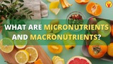 What Are What Are Micronutrients And Macronutrients ?
