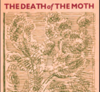 The Death of the Moth, and Other Essays