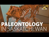 Paleontology in Saskatchewan