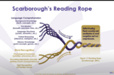 Hang on Tight to the Rope (Scarborough's Reading Rope)