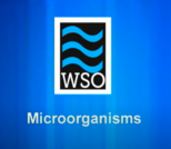 Water Treatment: Microorganisms Video