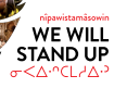 We Will Stand Up, Study Guide