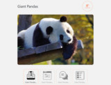 Giant Pandas -  A lesson for English Language Learners