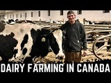 A Day On A Saskatchewan Dairy!