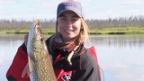 Saskatchewan Monster Northern Pike on Cree River - Good Fishing 2017 Show 2