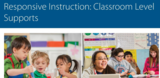Responsive Instruction Modules: Classroom Level Supports: Planning for Student Diversity