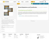 Animal Adaptations and Classification