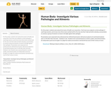 Human Body- Investigate Various Pathologies and Ailments