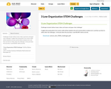 3 Low Organization STEM Challenges