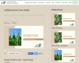 Collaborative Corn Stalk