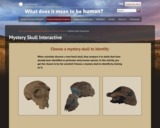 Mystery Skull Interactive | The Smithsonian Institution's Human Origins Program