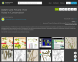 Botany & Art and Their Roles in Conservation