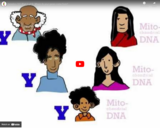 Genetics 101 (Part 3 of 5): Where do your genes come from?