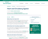Heart and Circulatory System (for Teens)