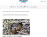 Great Lakes Now Virtual Field Trip – Great Lakes Now