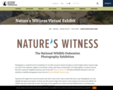 Nature's Witness Virtual Exhibit