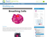 Breathing Cells
