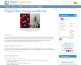 Organic Solar Energy and Berries