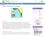 Marine animal tracking