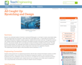 All Caught Up: Bycatching and Design