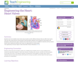 Engineering the Heart: Heart Valves