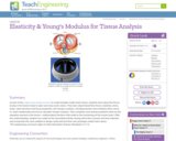 Elasticity & Young's Modulus for Tissue Analysis