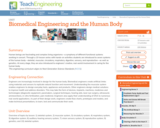 Biomedical Engineering and the Human Body