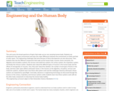 Engineering and the Human Body