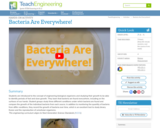 Bacteria Are Everywhere!