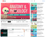 Introduction to Anatomy & Physiology: Crash Course A&P #1