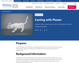 Casting with Plaster