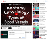The Cardiovascular System : Types of Blood Vessels (14:09)